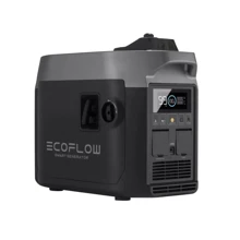 Інверторний бензиновий генератор EcoFlow Smart Generator (GasEB-EU): Тип електростанції бензиновый
