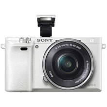 Sony Alpha A6000 kit (16-50mm) White: Тип матрицы CMOS