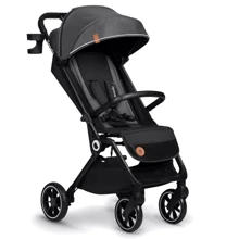 Коляска Lionelo Cloe Grey Stone (LO-CLOE GREY STONE): Тип коляски Прогулочная