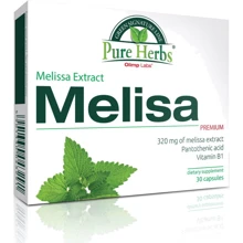 Olimp Melisa Premium Экстракт мелиссы 30 капсул: Тип Витамин B