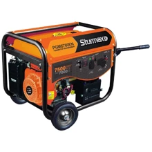 Генератор бензиновий Sturmax PGM8780EN: Тип електростанції бензиновый