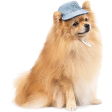 Панама Pet Fashion Blue S (4823082434237): Тип Панамы