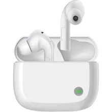 Наушники ZMI PurPods Pro White (TW100ZM) CN: Тип конструкции вакуумные
