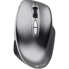 Мышь Canyon MW-21 Wireless Blue LED Dark gray (CNS-CMSW21DG): Интерфейс подключения Wireless