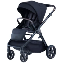 Прогулочная коляска Espiro Only Way 210 Stylish Black Air (5906724206634): Тип коляски Прогулочная