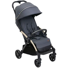 Прогулочная коляска Chicco Goody XPlus Stroller серая (87040.27): Тип коляски Прогулочная