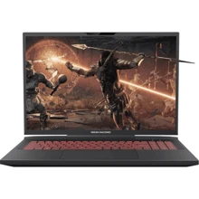 Ноутбук Dream Machines RX4080-17 (RX4080-17UA28) UA: Екран 17.3" WVA (2560x1600)