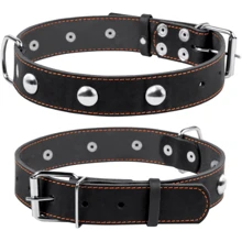 Ошейник Collar одинарный с украшением ш 35 мм, д 48-63 см черный (02711): Производитель Collar