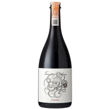 Игристое вино Tenuta Di Carleone Vino Rosso Frizzante 13% красное сухое 0.75 (BWR8824): Объем, л 0.75