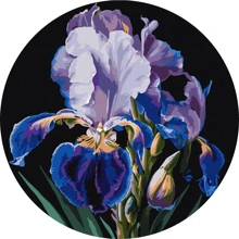 Картина за номерами Ідейка Ніжні іриси ©art_selena_ua ø33 см (KHO-R1021): Виробник Идейка