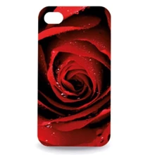 Чехол Hi-Fun для iPhone "Rose" 4 G (VV412-D4S25*): Производитель Hi-Fun