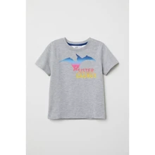 Футболка H&M 1112-6957338 98-104 см серая: Пол Мальчик