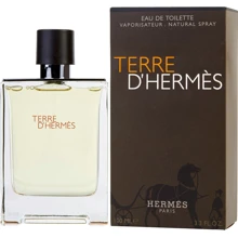 Туалетная вода Hermes Terre D'Hermes 100 ml: Вид Туалетная вода