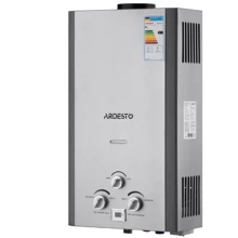 Водонагреватель газовый Ardesto X1 (TFGBH-10B-X1-STEEL): Вид Дымоходный