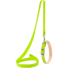 Ошейник с поводком Collar капроновый 14 мм 25-33 см зеленый (05485): Производитель Collar
