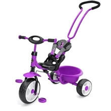 Триколісний велосипед Milly Mally Boby Deluxe Violet: Тип 3х колісний велосипед