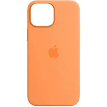 Чехол для iPhone ArmorStandart Silicone Case Marigold for iPhone 13 (ARM60950): Цвет оранжевый