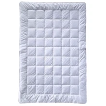 Одеяло Billerbeck Bamboo Uno 155x220 см (51903655): Тип Стандартные