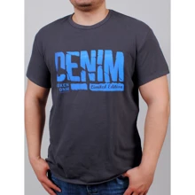 Футболка PFProject BIGDENIMBROK 5XL сіра з принтом: Вид футболки