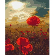 Картина по номерам Brushme Маки под горящим солнцем 40x50 см (BS51961): Производитель Brushme