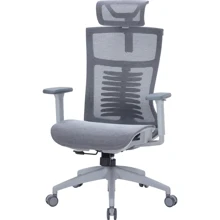 Офісне крісло OfficePro Balance OC620-G-DG-DG: Тип для персоналу
