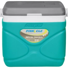 Автохолодильник Pinnacle Prudence 12/240V 30 л (8906053362008TURQUOISE): Тип автохолодильник