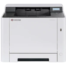 Принтер Kyocera Ecosys PA2100cwx WiFi (110C093NL0): Класс устройства Офисный