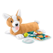 Розвиваючий ігровий набір Fisher-Price Цуценя (HJW10): Тип прочее