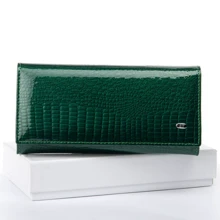 Женский кошелек Sergio Torretti зеленый (31335 dark-green): Пол Женский