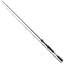 Спінінгові вудилище Daiwa Prorex XR Jerk BC 1.95m 40-120gr: Тип вудлища спиннинговое