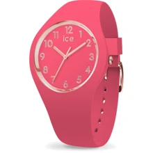Наручные часы Ice-Watch 015331: Стиль Классический