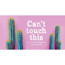 Мой планер. Колючие кактусы: Can't touch this (мини на навивке): Производитель Эксмо