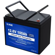 DCHOUSE LiFePO4 12V 100Ah (1280Wh): Тип Аккумулятор