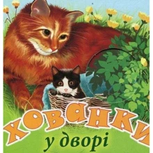 Хованки. У дворі: Производитель Розумна дитина