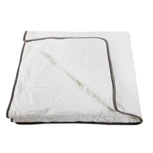 Ковдра ТЕП Prestige light 200x140: Тип Легкі (надлегкі)