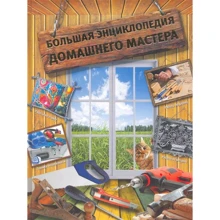 Иван Новиков: Большая энциклопедия домашнего мастера: Производитель АСТ