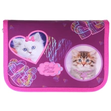 Пенал CLASS 99201, 1 отд., 2 отворота, без наполнения Lovely Kitties: Год выпуска коллекции 2019
