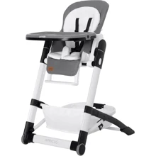 Стульчик для кормления Carrello Apricus серый (CRL-14201 Slate Grey): Тип классический стульчик