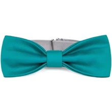 Бабочка для собак Pet Fashion размер XS-M бирюзовая (4823082425488): Тип Галстуки