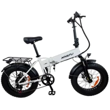 Электровелосипед Myatu F0320F (250 Вт, 10 А/час, 48 В), колеса 20", белый: Емкость батареи, ВтЧ 480
