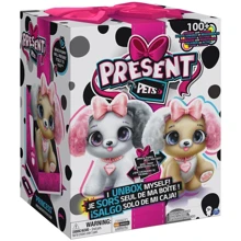 Интерактивная мягкая игрушка-сюрприз Spin master Present pets (6051197): Тип животное