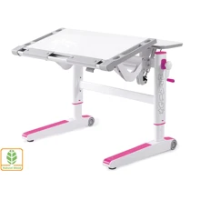 Детский стол Mealux Ergowood L (BD-810 W/PN): Тип Парта