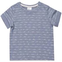 Футболка H & M 6251418 80 см сіра: Стать хлопчик