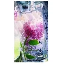 Набор стаканов Luminarc Hortensia Rose D8523 (6 пр.) (270 мл): undefined undefined