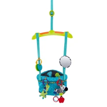 Прыгунки Bright Starts Bounce n Spring Deluxe (10410): Производитель Bright Starts