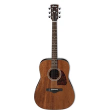Акустическая гитара Ibanez AW54 OPN: Тип Акустическая гитара