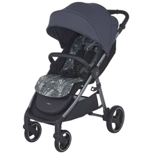 Прогулочная коляска Espiro Wave 2023 (217 Anthracite Stone): Тип коляски Прогулочная
