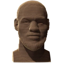 Картонный конструктор Cartonic 3D Puzzle LeBRON: Вид развлечения и спорт