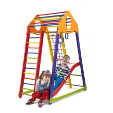 Детский спортивный комплекс SportBaby BambinoWood Color Plus 1: Производитель SportBaby