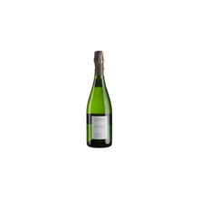 Игристое Silvano Follador Valdobbiadene Prosecco Superiore Extra Brut (0,75 л.) (BW93157): Объем, л 0.75